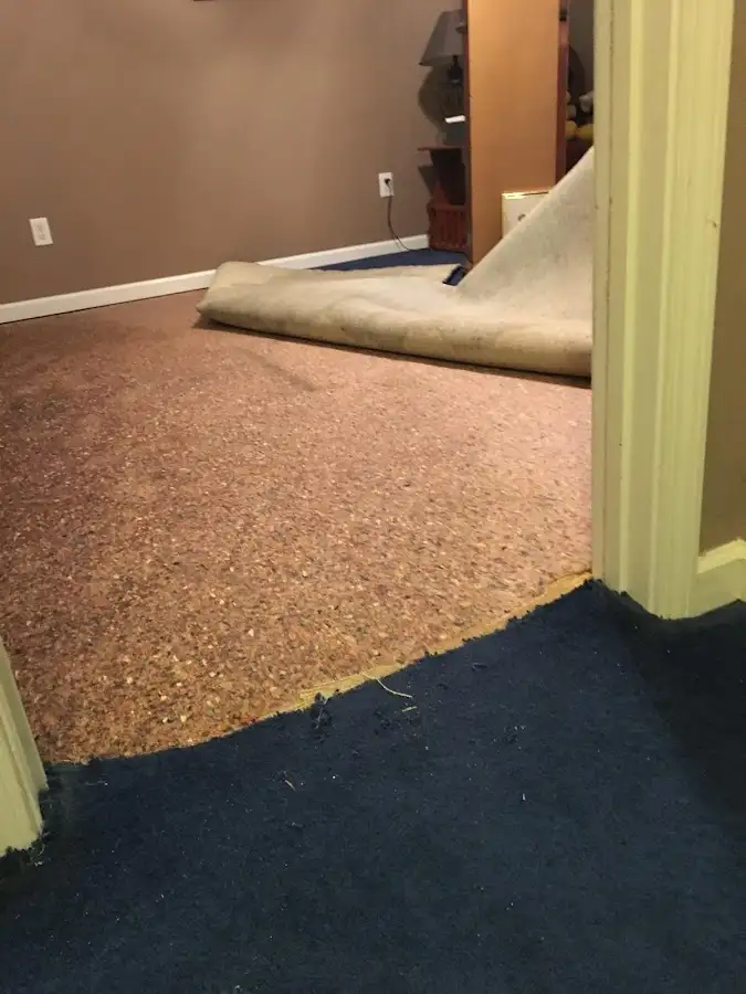 Carpet pad removal revealing water damage during Water Mitigation Services in Salisbury