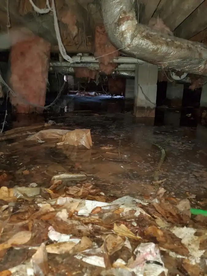 Crawl space flood assessment for Leak Detection & Repair in Salisbury